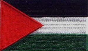 Parches bordados bandera palestina de 2,5""x1,5"" plancha - Imagen 1 de 1