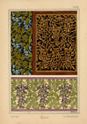 Décoration Art Nouveau Glycine La Plante Poidevin Grasset Lithographie XIXe