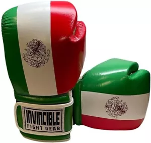Invincible Fight Gear Hook and Loop Leather Training Gloves with Mexican Flag - Picture 1 of 6