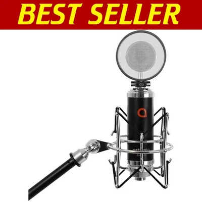 Versatile AMC-20 Large-Diaphragm Studio Microphone with Shock Mount & Pop Filter - Image 1 of 4