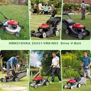Replacement V Belt For HRN216VKA Walk Behind Mowers 39 3/8In Length 3/8In Width - Picture 1 of 8