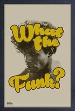 JAMES BROWN WHAT THE FUNK? 13x19 FRAMED POSTER CLASSIC MUSIC ROCK ICONIC BOSS!!!