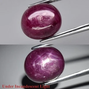 6,92ct Oval Cab Purpur Rot 6 Strahlen Stern Rubin Edelstein (Heizglasfüllung) - Bild 1 von 12
