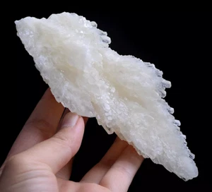284g Natural Complete “Angel Wings” White Calcite Mineral Specimen/China - Picture 1 of 11