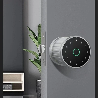 Serratura Porta Smart Impronta Digitale Ingresso Senza Chiave con Password e Con - Immagine 1 di 4