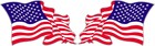 American Flag pairs Decal