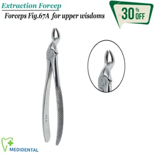Quirúrgico Adulto Fórceps de Extracción para Superiores Wisdom Raíces Fig.67A - Bild 1 von 4