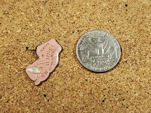 Vintage  New Jersey Enamel Pin - Picture 1 of 1