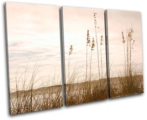 Grass Field Floral TREBLE CANVAS WALL ART Picture Print VA - Picture 1 of 1