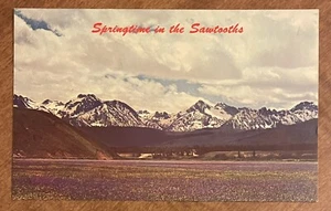 Frühling in den Sägezähnen Challis National Forest Idaho Ausweis Vintage Postkarte - Bild 1 von 2