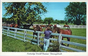 Cartolina Blue Grass Horse Farm Kentucky non spedita - Foto 1 di 2