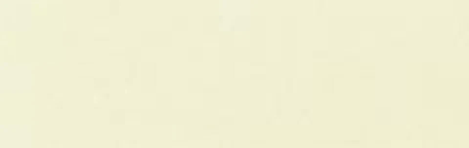 Signature Machine Quilting Thread 3,000 Yards 100% Cotton 40 Wt. - Image 1 of 1