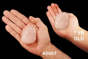 ROSE QUARTZ Crystal 2" 3-5 oz grande bicchiere campione minerale di roccia lucida - Foto 1 di 4