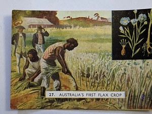 Vintage Sanitarium Collectable Card no 27 Australias first flax crop - Bild 1 von 2