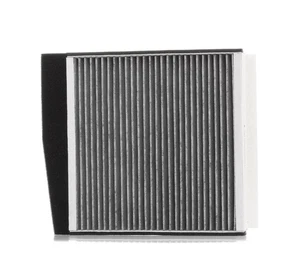 RIDEX 424I0088 Innenraumfilter Pollenfilter für VOLVO V70 II (285) XC90 I (275) - Bild 1 von 12