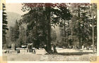 Real Photo Postcard Public Camp Ground, Crystal Lake, California - ca '30s-'40s