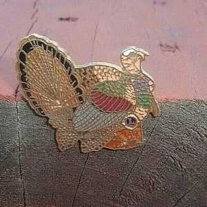 Lions Club Pin - Turkey - Dist. 14-G - Picture 1 of 3