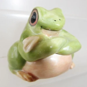 KLIMA K649 Boîte en porcelaine - GRENOUILLE VERTE FROG - Picture 1 of 5