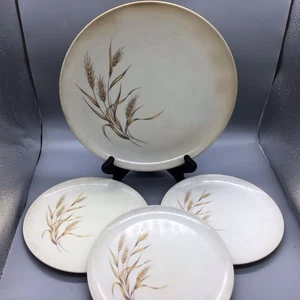 4 piatti Melmac vintage 103 e 104 modello grano usati segni di usura - Foto 1 di 7