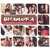 Beginner's Guide to Bhangra - Image 1 of 1