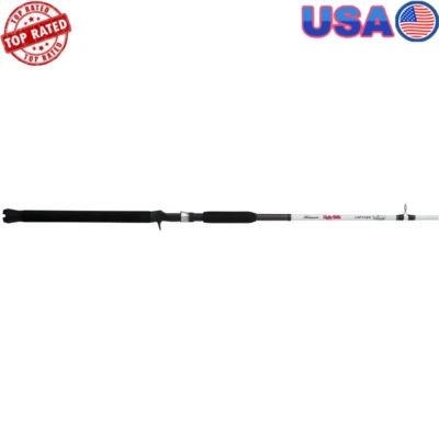 Caña giratoria de bagre de 8 pies construcción duradera herramienta de pesca de potencia media pesada EE. UU. Foto 1 de 4