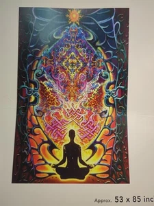 Mike Dubois Wandteppich 58x85" "Zest For Life" Mind Matrix Heady Art - Bild 1 von 5