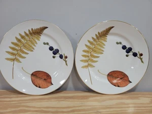 Royal Worcester Wild Harvest Gold Trim 10" Dinner Plates - Set of 2 - Picture 1 of 7