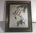 vintage asian chinoserie bird lithograph Framed 22 X 17