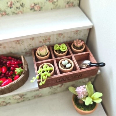 Miniature Clay Succulent Set – 1:6 Scale Dollhouse Garden Plants in Wooden Box - Image 1 of 4