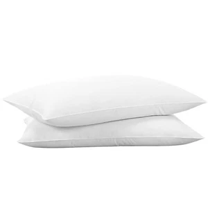 Thin Flat Soft Bed Pillows Queen Size Set Of 2 Pack 20x28inches For Sleeping Flu - Picture 1 of 5
