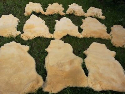 Top Echte Med. Schaffelle Lammfell Baby Fell Relugan  Bis 140cm Schnäppchen - Bild 1 von 3