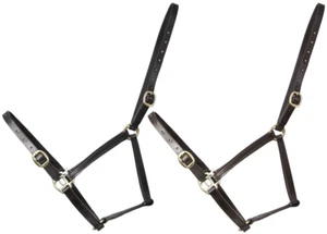 Hy Equestrian Leather Foal Head Collar Adjustable Brass Buckles Black/Brown S-XL - Picture 1 of 6