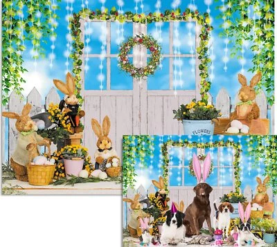 Huevos de Pascua de primavera 2023 fondo de conejo cielo valla de madera telón de fondo de jardín Foto 1 de 4