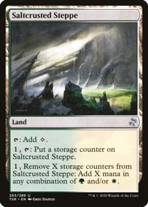 Saltcrusted Steppe (283) Time Spiral Remastered TSR MTG Magic - Picture 1 of 1