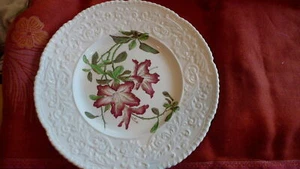 hübscher Vintage floraler "Lilly" 10" Porzellan Teller von Cauldon of England - Bild 1 von 3