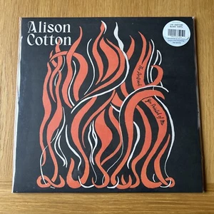 Alison Cotton - The Portrait You Painted Of Me Vinyl LP - Rocket Recording NEW - Picture 1 of 3