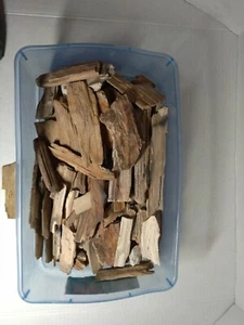 S21A Beautifully Colored Tumbler Size Petrified Wood Pieces From S. Utah 9 Lbs - Picture 1 of 2