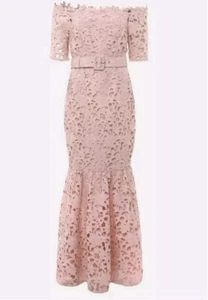 NEW Phase Eight Tallula Pink Lace Bardot Maxi Occasion Dress Size 10 £259 - Picture 1 of 14