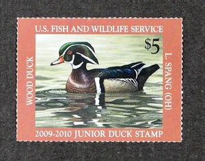 U.S. 2009 #JDS17 $5 Junior Duck Stamp, Wood Duck Mint NH - Picture 1 of 1