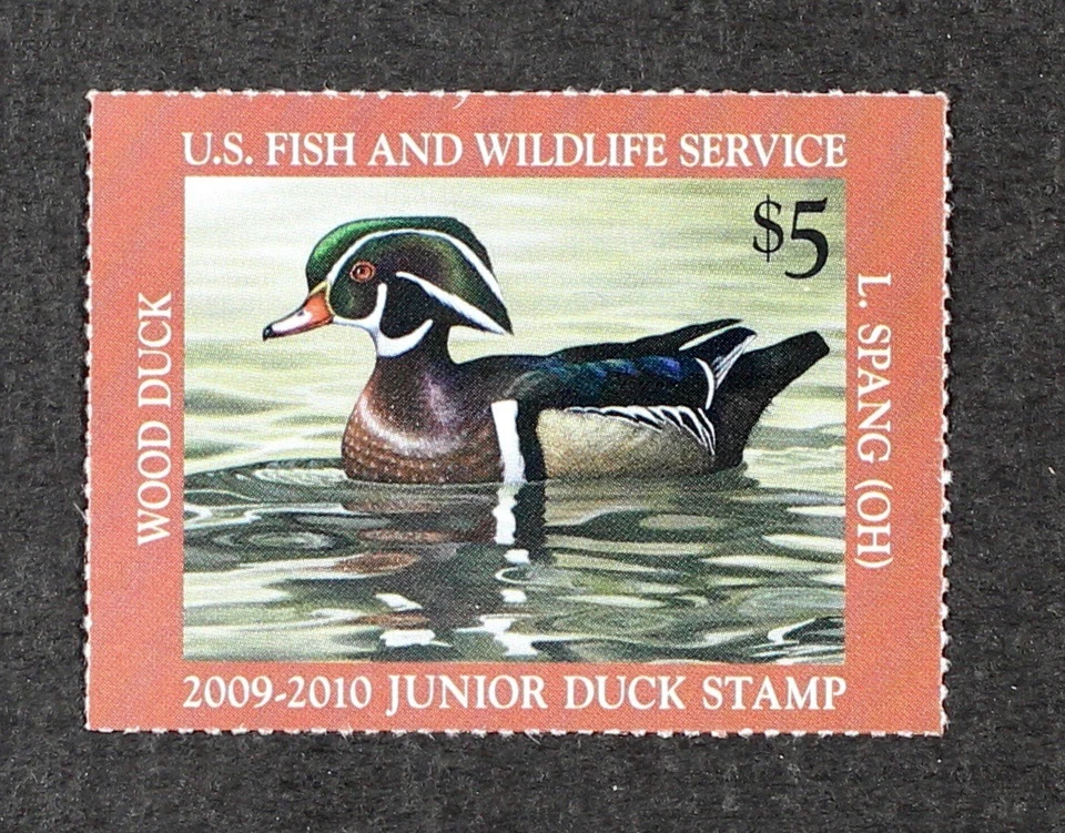 U.S. 2009 #JDS17 $5 Junior Duck Stamp, Wood Duck Mint NH - Image 1 of 1