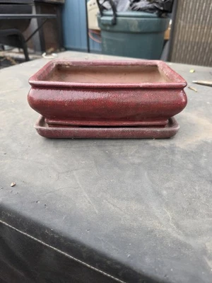 Bonsai de cerámica roja con bandeja de goteo rectangular 7,75" X 5,5" X 2" Foto 1 de 2