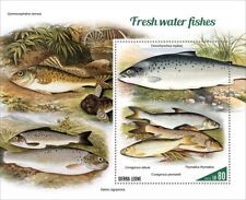 Fresh Water Fishes MNH Stamps 2022 Sierra Leone S/S