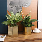 Hexagon Shiny Brass Metal Indoor Decorative Plant Pot, Vase Container, Set of 2