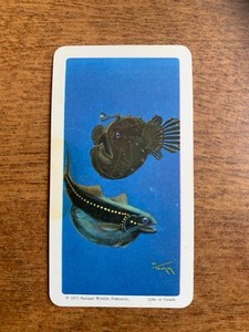 BROOKE BOND RED ROSE TEA CARDS - SERIES 14 - EXPLORING THE OCEAN