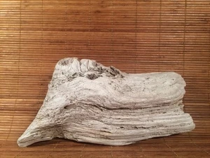 Beautiful 13" DRIFTWOOD Piece Terrarium Taxidermy Aquarium Beach Wood DECOR - Picture 1 of 12