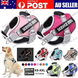 Personalized Service Dog Harness No-Pull Adjustable Pet Vest Reflective & Tag AU - Picture 1 of 32