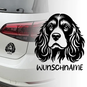 Auto Aufkleber | Amerikanischen Cocker Spaniel Hund | Personalisiert Sticker 626 - Bild 1 von 3