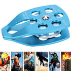 Single Sheave Large Sideplate Blue Rope Pulley Aluminum With Swing Plate Caving