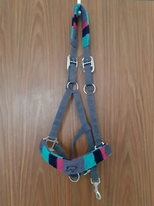 Pferdehalfter Warmblut - Bild 1 von 3