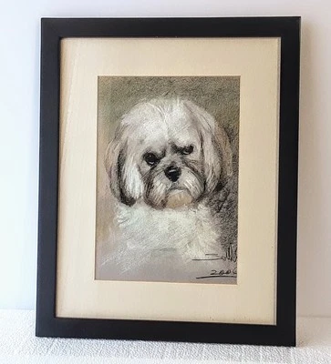 Dibujo Pastel Original Retrato Perro Shih Tzu Enmarcado 13"x16" Artista Firmado 2004  Foto 1 de 4